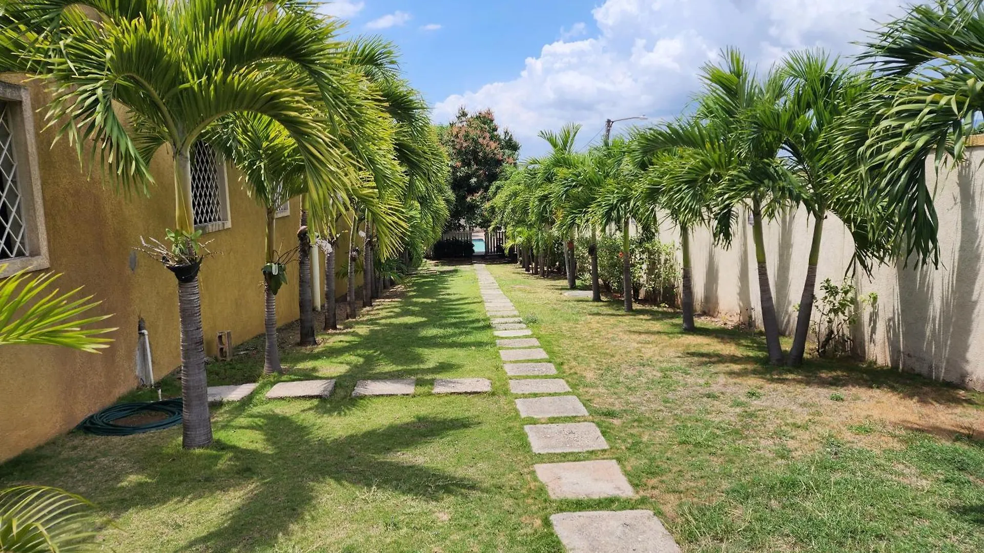 Apartmán Liguanea Pearls Oasis Kingston